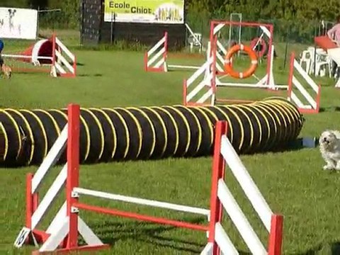 Bianca - Jumping Aubagne