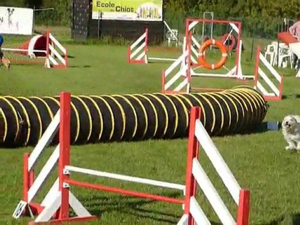 Bianca - Jumping Aubagne