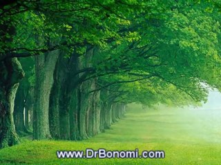 24 El Secreto - The Secret de Rhonda Byrne