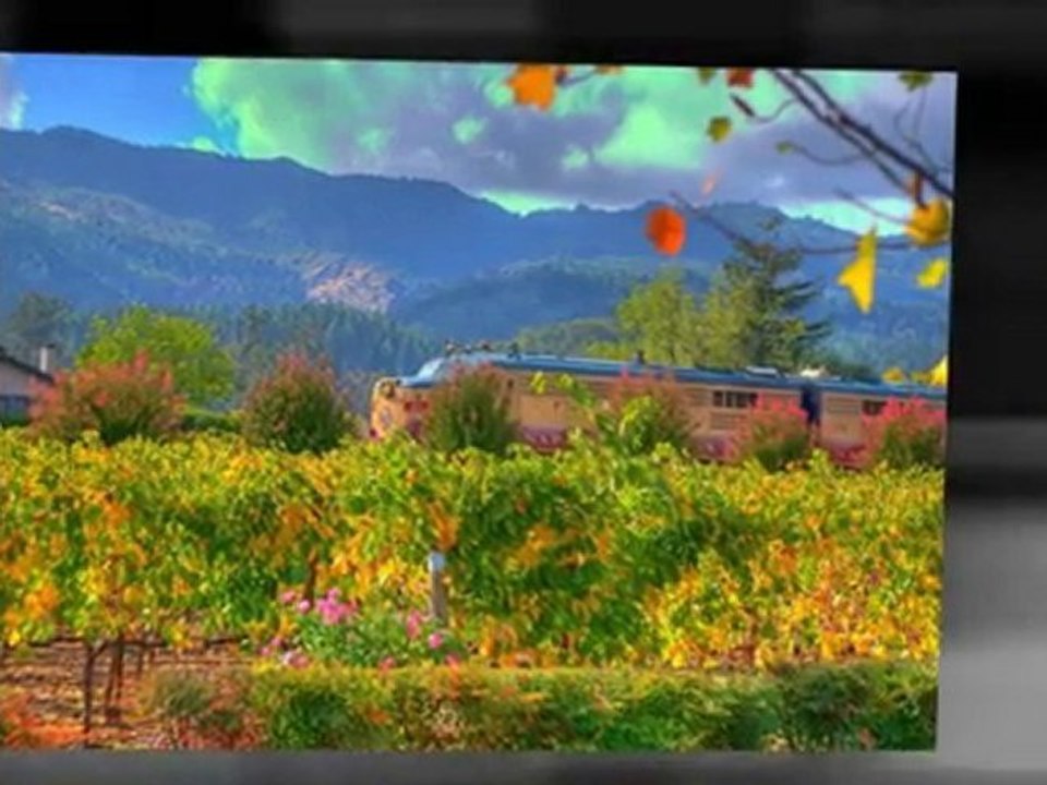 Sonoma Wine Tasting Tours | Sonoma Wine County Tour | Napa