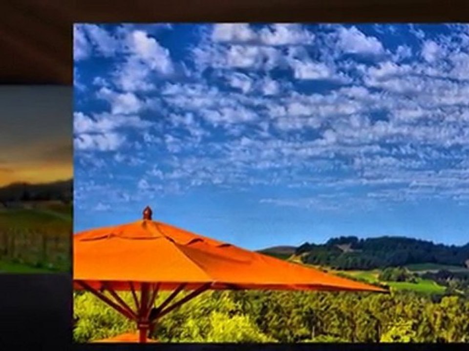 Napa Wine Tour Limo | Sonoma Wine Tasting Tour | Elite Limo