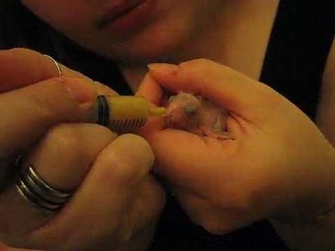 nourrissage d'un bébé catherine de 7 jours