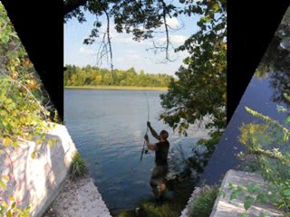 Martin Guilbert arret de confiance