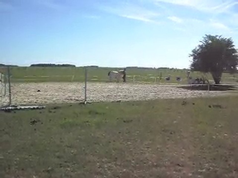 EQUITATION WESTERN AVEC CELINE AU SOL+MONTE. 19 09 2010. 8)