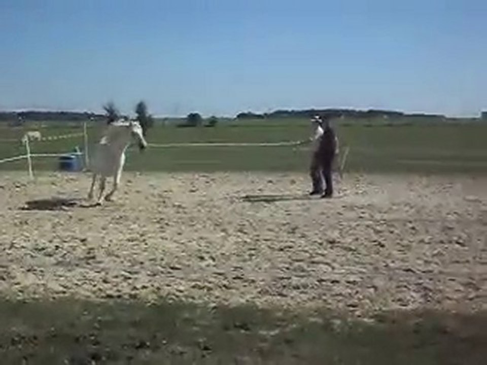 EQUITATION WESTERN AVEC CELINE AU SOL+MONTE. 19 09 2010. 2)