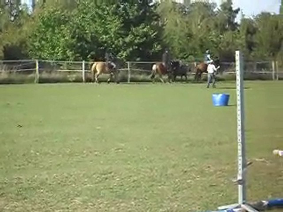 EQUITATION WESTERN AVEC CELINE AU SOL+MONTE. 19 09 2010. 6)