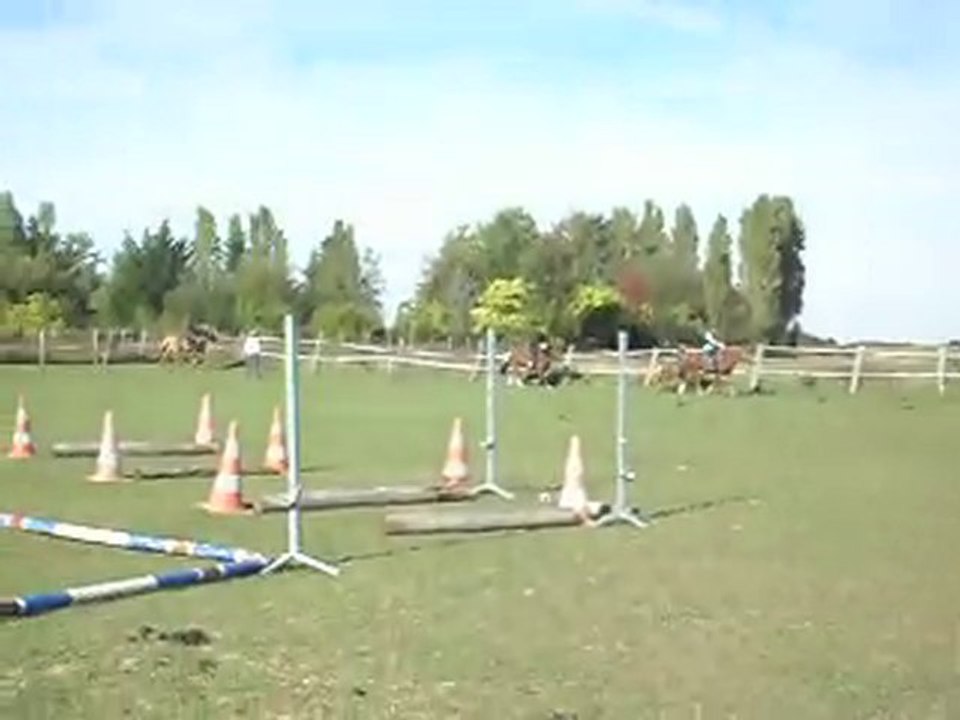 EQUITATION WESTERN AVEC CELINE AU SOL+MONTE. 19 09 2010. 7)
