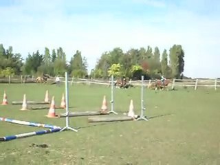 EQUITATION WESTERN AVEC CELINE AU SOL+MONTE. 19 09 2010. 7)