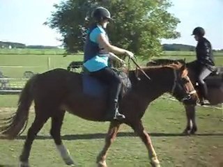 EQUITATION WESTERN AVEC CELINE: JEUX suite 3)