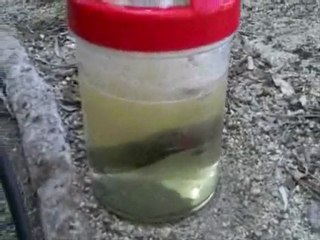 Generador electrico : hidrogeno casero