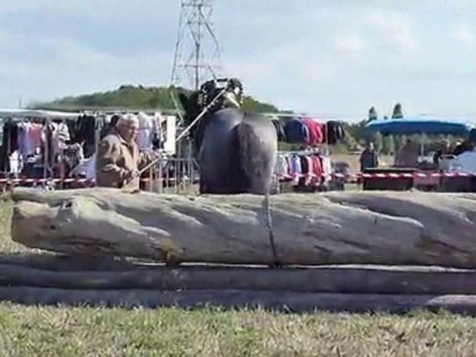 Gérard Tessier & Nils - Anim' Débardage à Rouziers 37