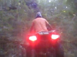Sortie dans les bois