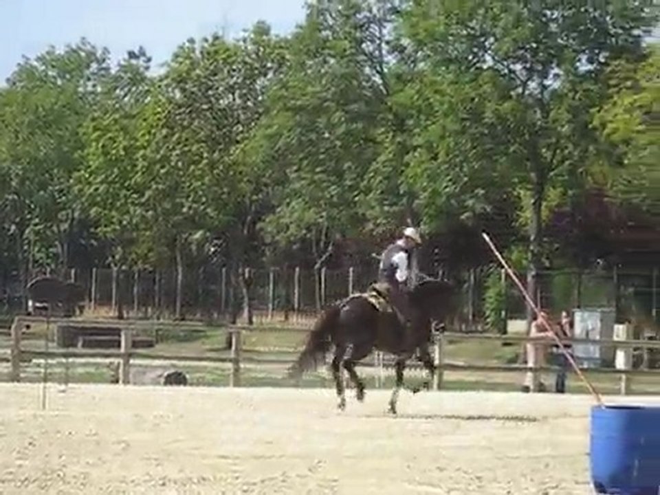 Equitation de travail Maison-Lafitte 05/09/10 - Uranio