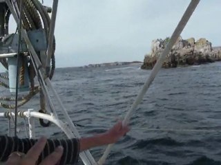 DSCN2405