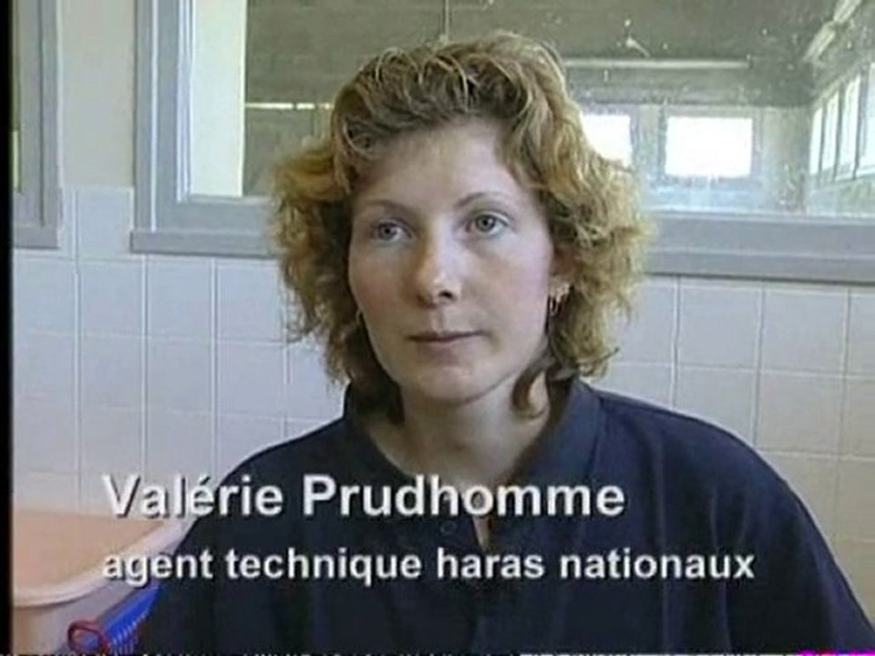 Véterinaire cheval - La cigogne des haras