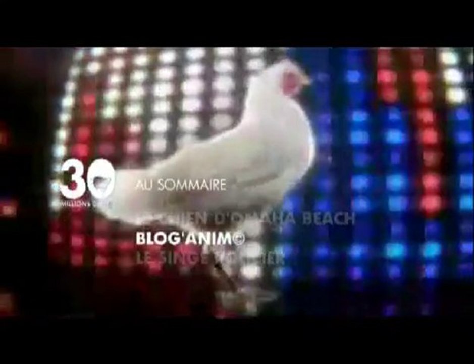 Sommaire émission 30 Millions d'Amis du 26-09-2010