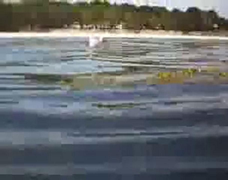 Philibert - jouer avec la mouette