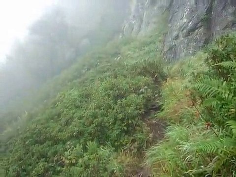 Pres de l'Etang des Truites