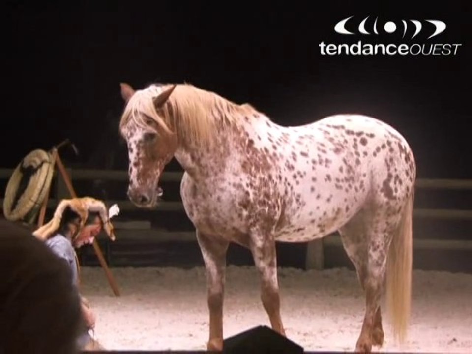 Foire de Caen 2010 Manège Equestre