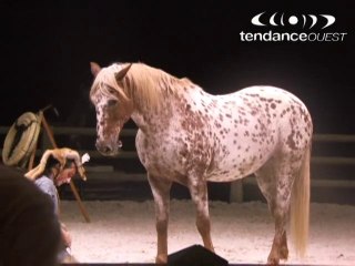 Foire de Caen 2010 Manège Equestre