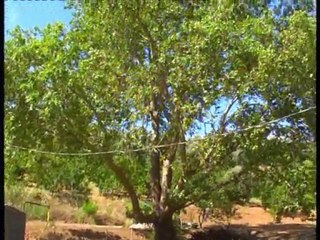 Karaoğlanlı belediyesi faaliyetleri