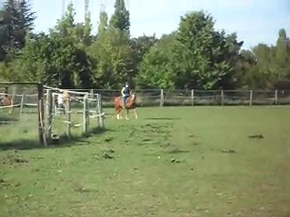 EQUITATION WESTERN AVEC CELINE: JEUX suite 7)