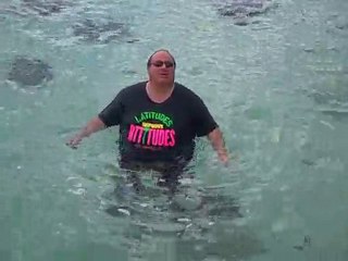 Numis Network Swimming With the StingRays