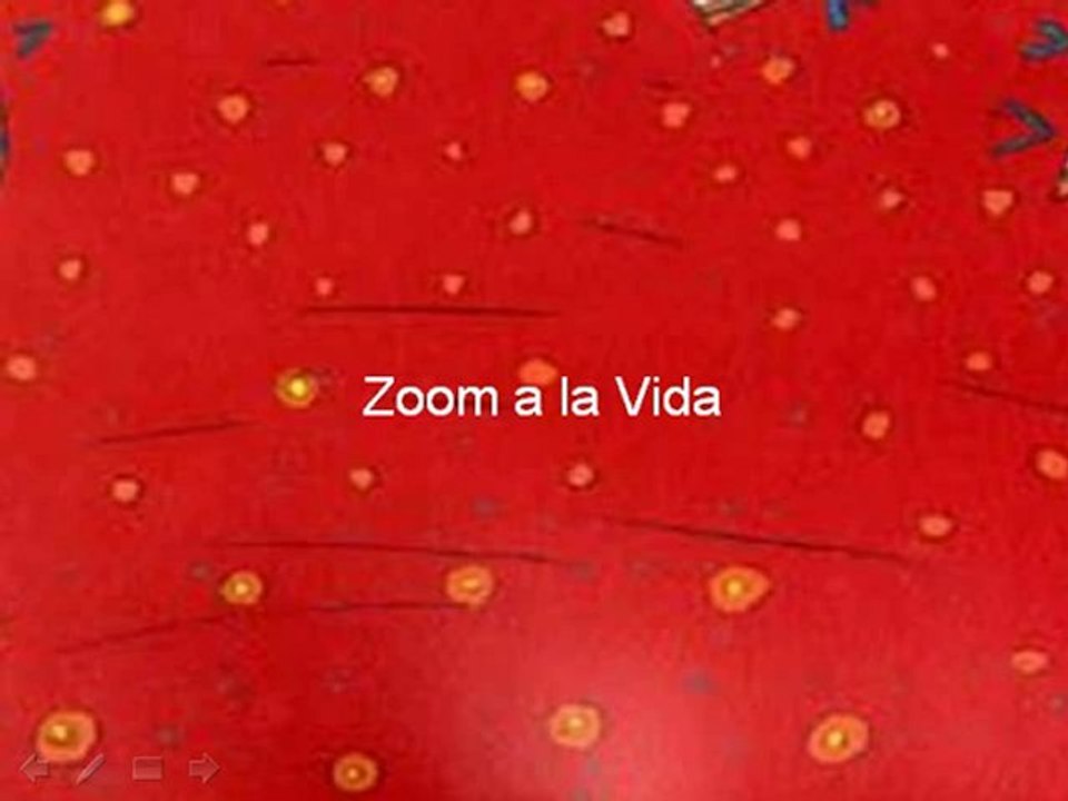 Zoom a la Vida