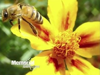 Allergies & Immunotherapy Memorial Hospital Gulfport, MS