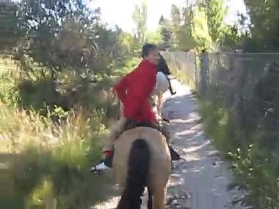 Riding again to the West