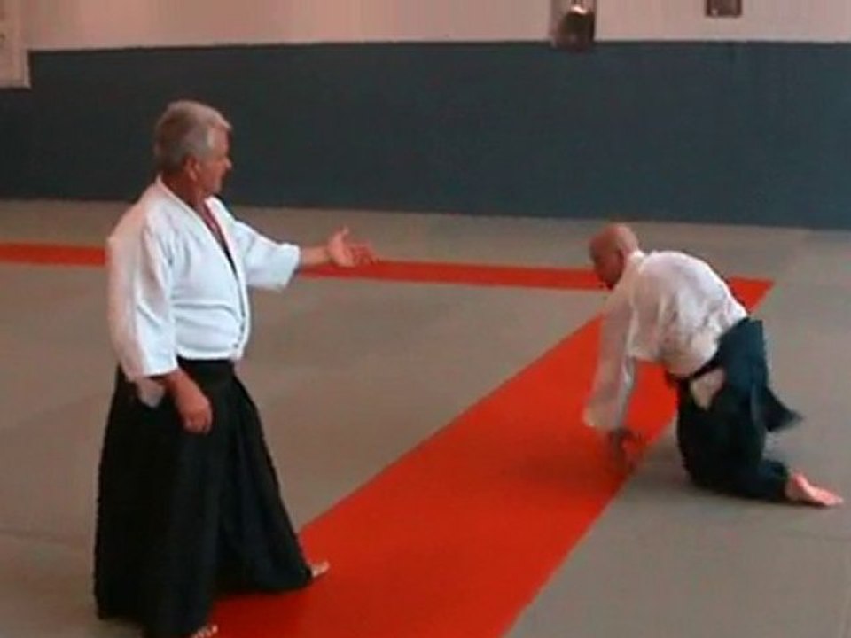 Aikido ctam Irimi nage
