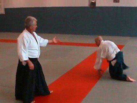 Aikido ctam Irimi nage