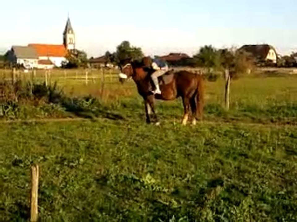 Salim