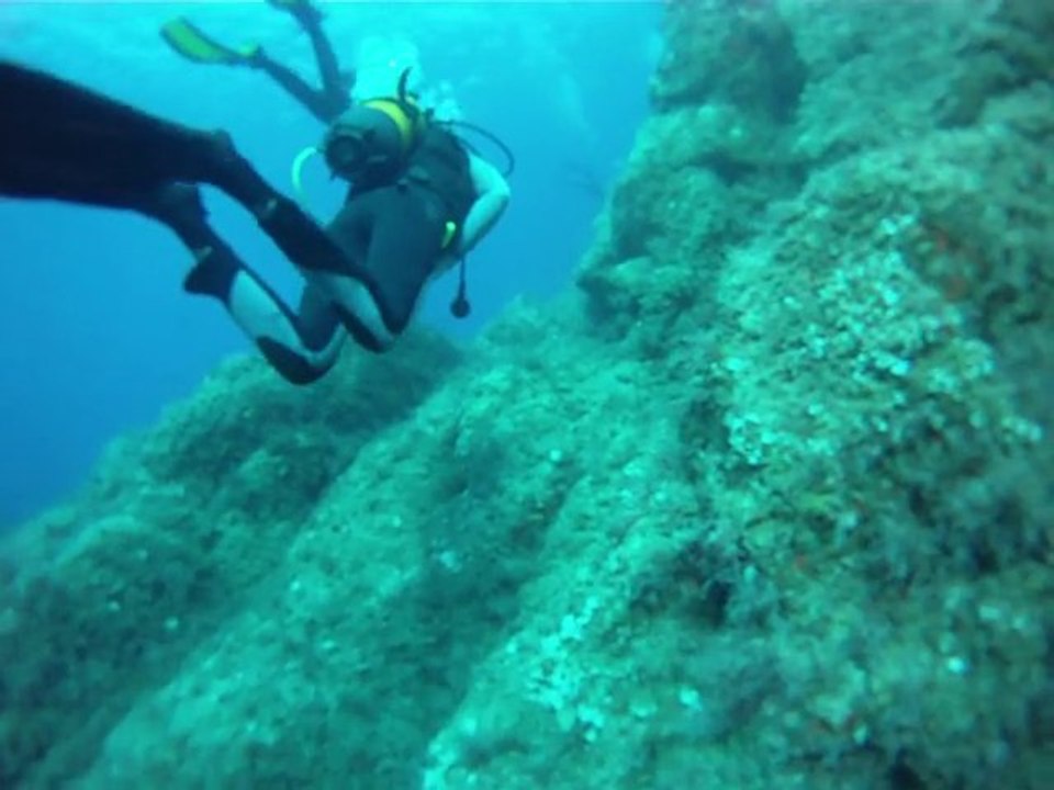 Fin plongée Port Cros