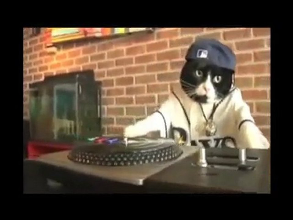 dj chat