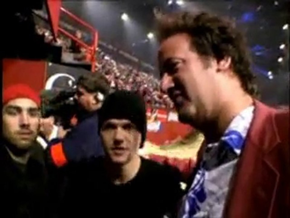 bam margera - 411vm
