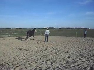 HASTA LUEGO, mon très bon cheval CRIOLLO: STAGE AVEC CELINE.