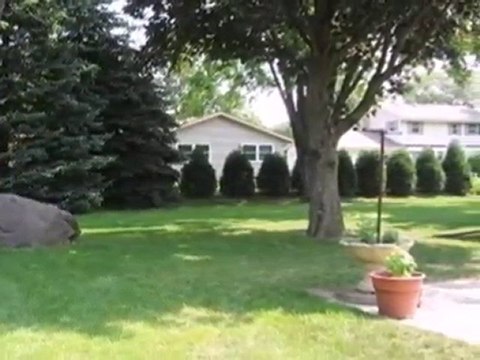 Homes for Sale - 5788 Glen Haven Dr - Greendale, WI 53129 -