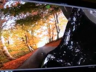 GTC 2010 - Quadro 6000 and RTT DeltaGen show real-time ...