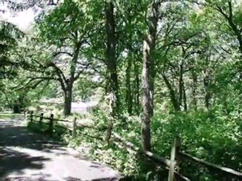 Homes for Sale - 1590 N Waukegan Rd - Lake Forest, IL 60045