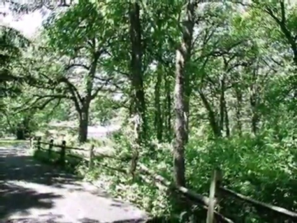 Homes for Sale - 1590 N Waukegan Rd - Lake Forest, IL 60045