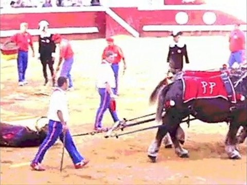 EL JULI 2010 A DAX 12 SEPT VICTORIANO DEL RIO TOROS Y SALSA