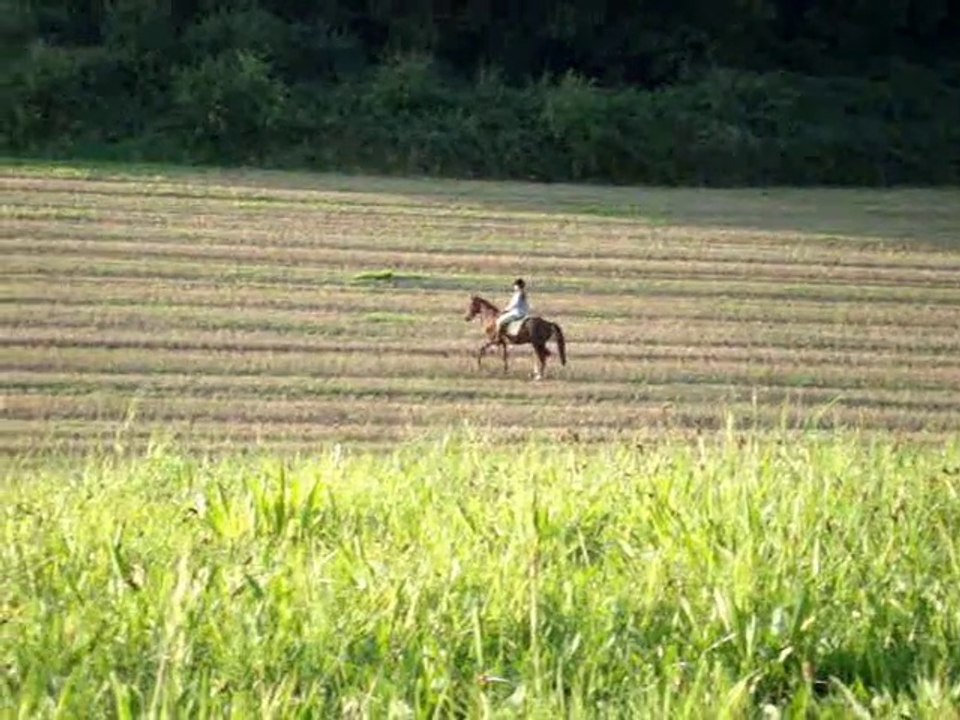 ~ Liberté du cheval et de la cavalière ~ Freedom...Vidéo Pat