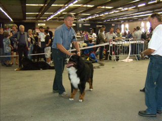 départ en expo PONTOISE