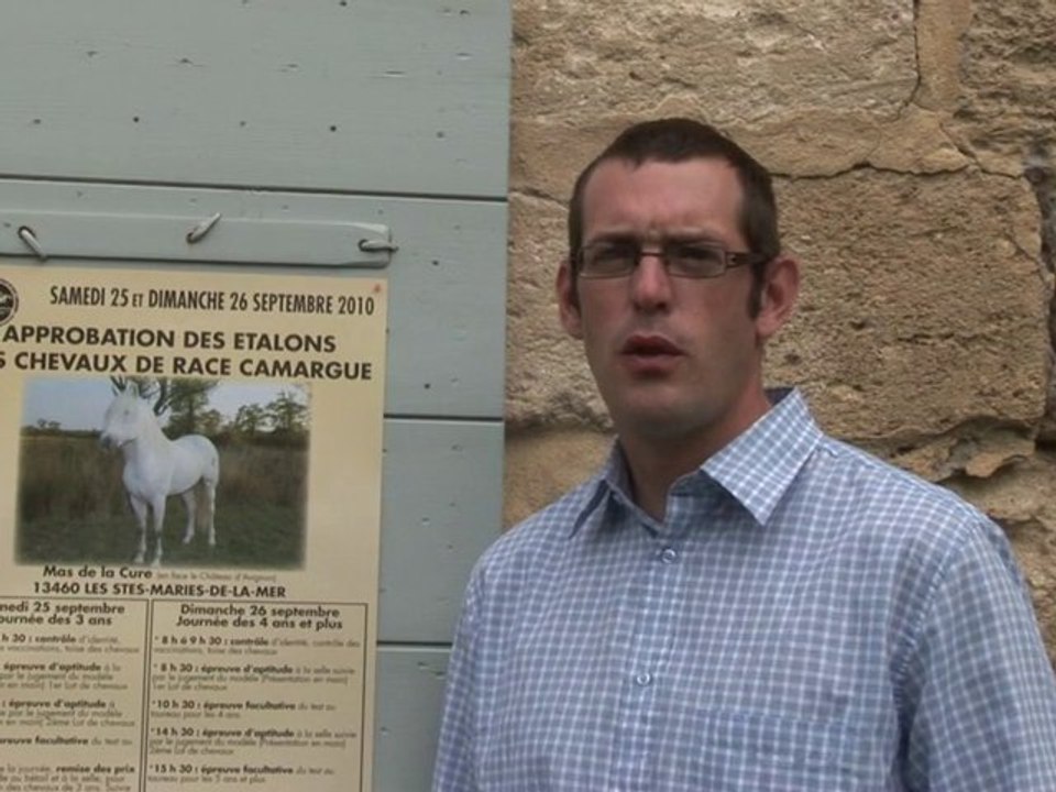 Approbation des étalons des chevaux de Race Camargue
