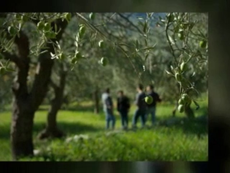 Entrepreneurship Summit 2010: Thomas Fuhlrott