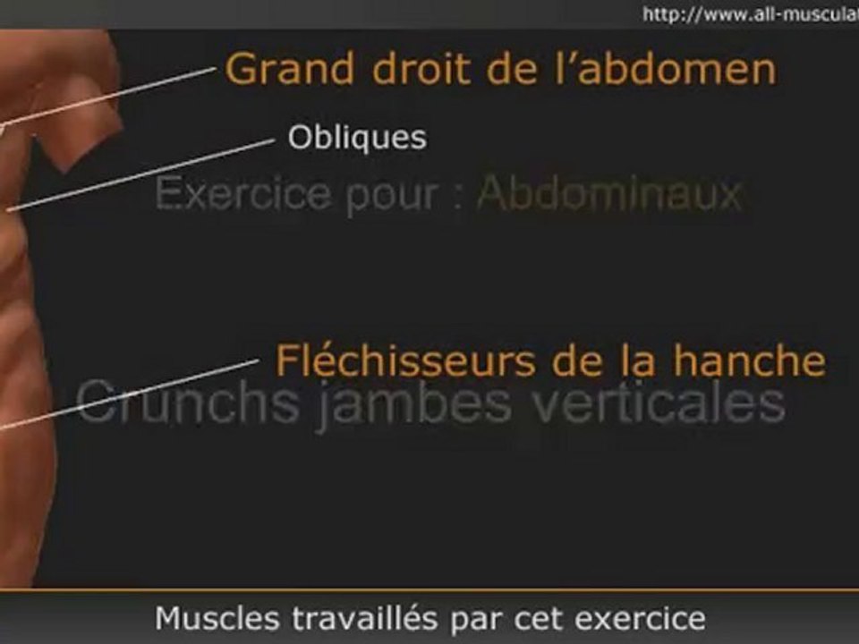 Exercice pour les abdos : crunchs jambes verticales