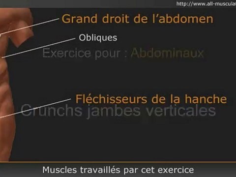 Exercice pour les abdos : crunchs jambes verticales