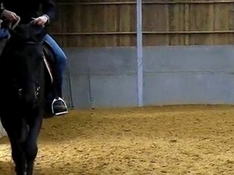 Ulys monté 27 sept 7