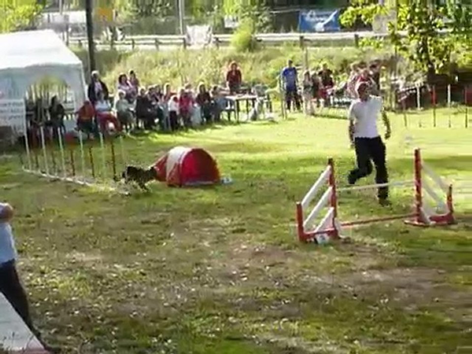 Brownie - KO Villeneuve Loubet